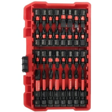 1/4" Smūginių keičiamų antgalių rinkinys (PLOKŠČIAS,PZ,PH,TORX) 54vnt. 2