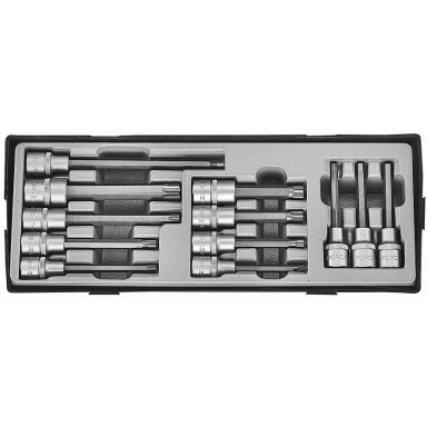 Antgalių galvučių Star Hex Spline 1/2" rinkinys 12 dalių