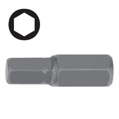 Antgalis "Hex" 12 5/16" Antgalis "Hex" 12 5/16"
